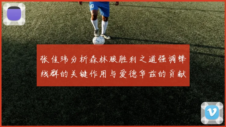 张佳玮分析森林狼胜利之道强调锋线群的关键作用与爱德华兹的贡献