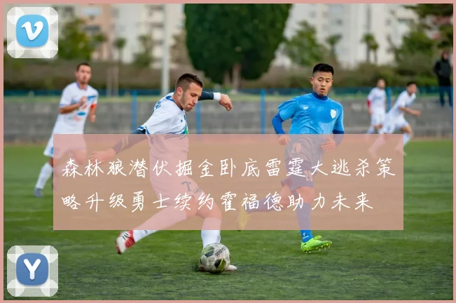 森林狼潜伏掘金卧底雷霆大逃杀策略升级勇士续约霍福德助力未来